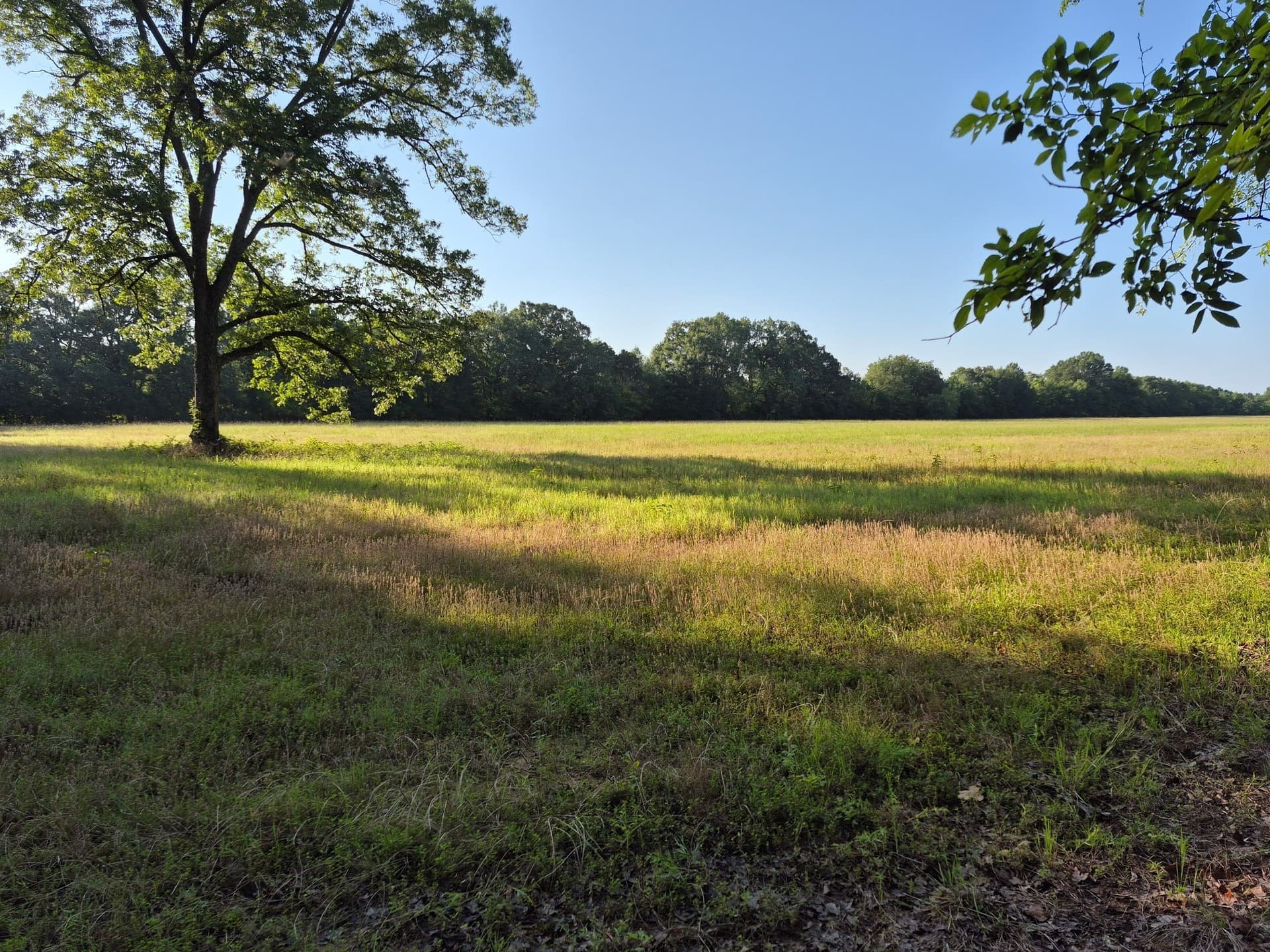 20.39 acres in Lamar County - photo 6