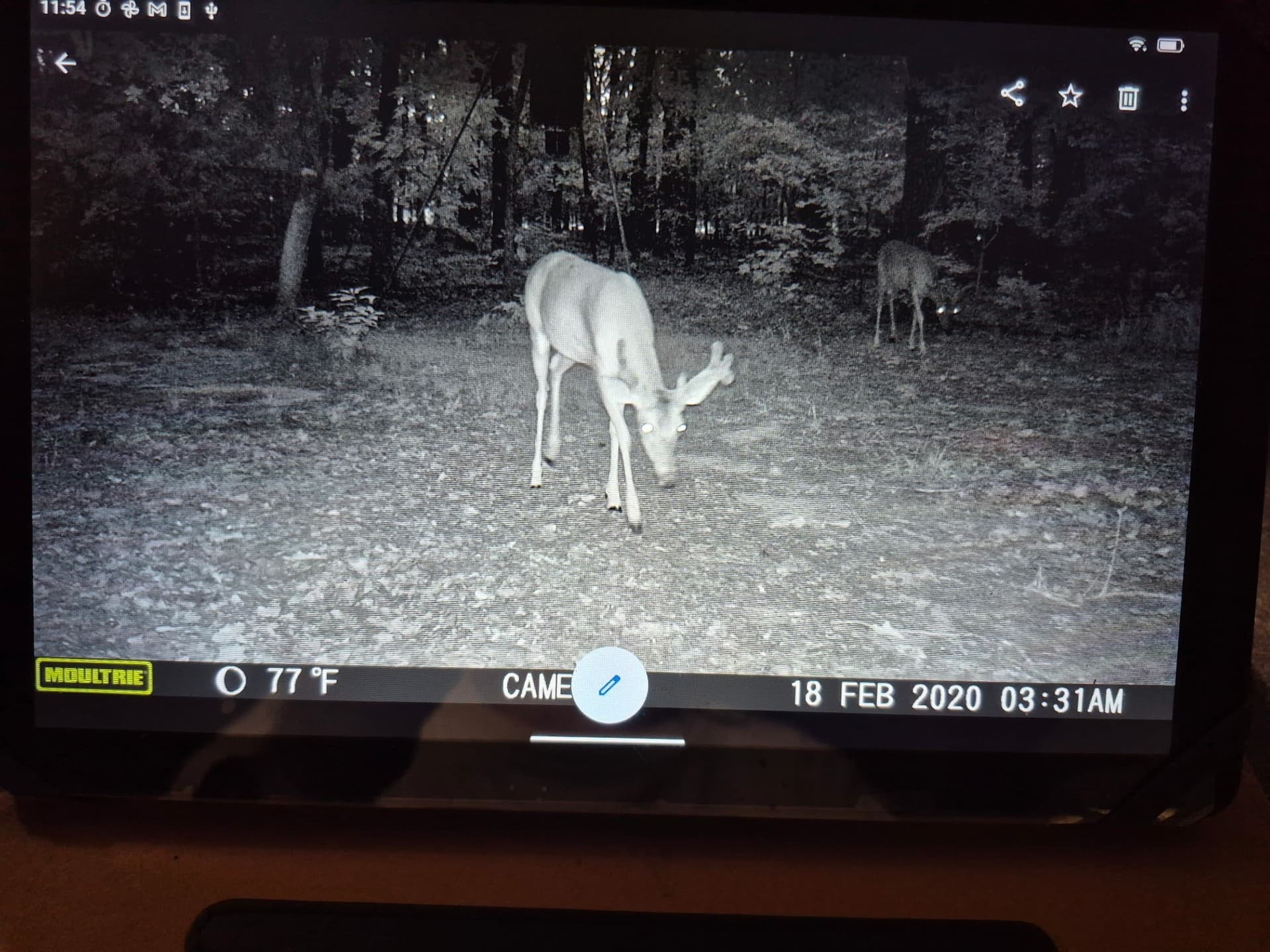 20.39 acres in Lamar County - photo 10