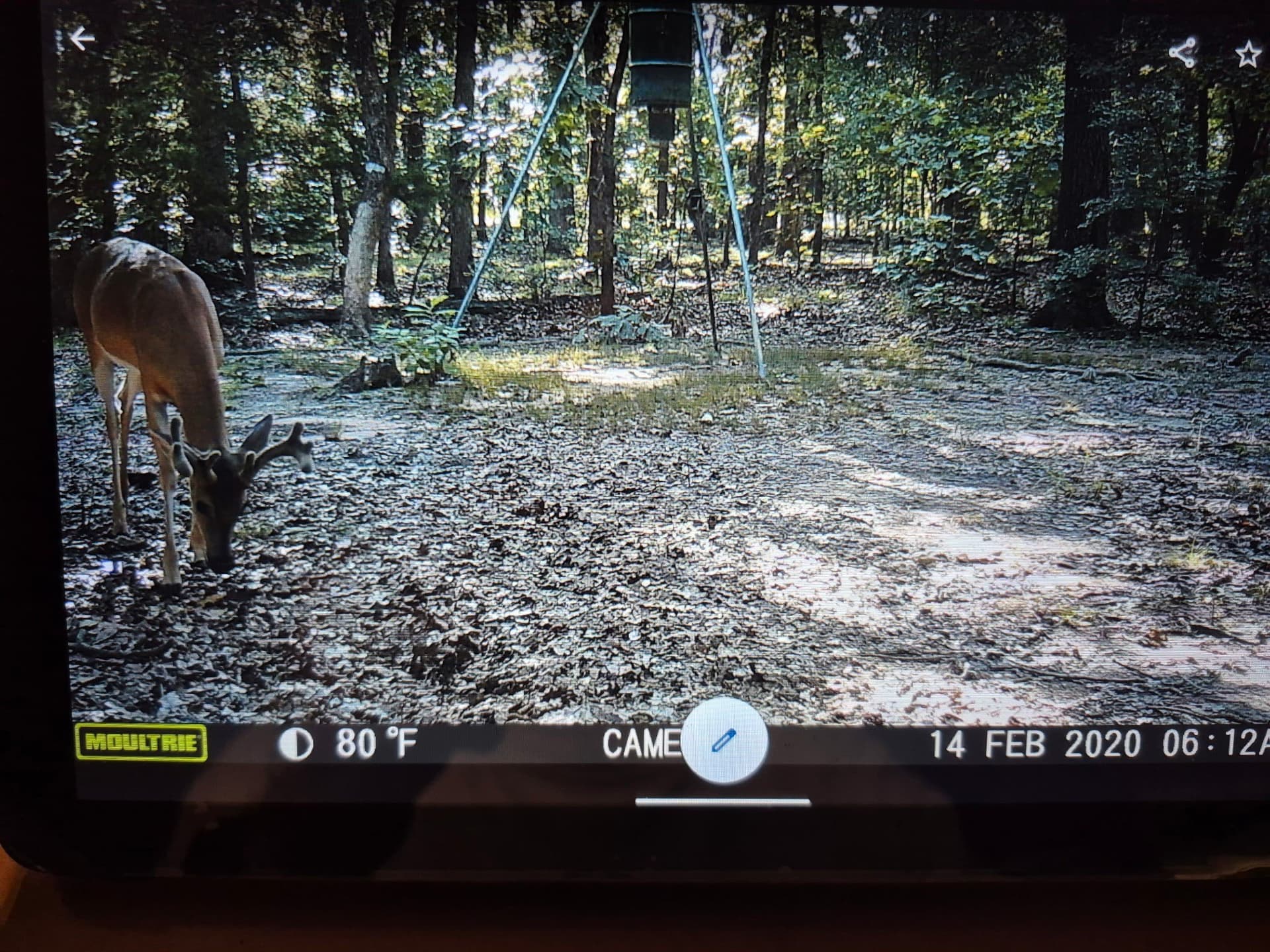20.39 acres in Lamar County - photo 9