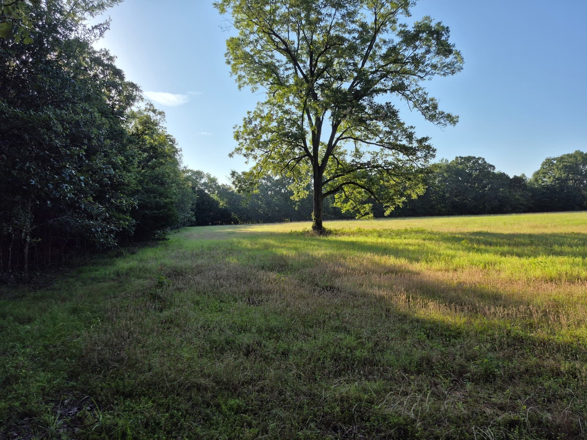 20.39 acres in Lamar County - photo 5