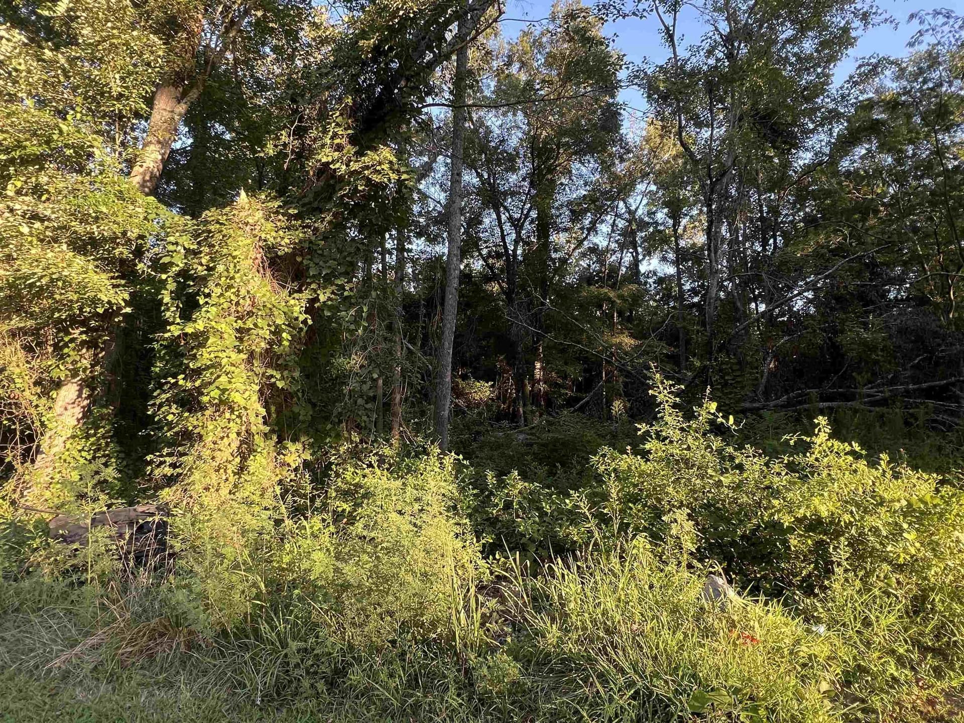 0.13 acres in Upshur County