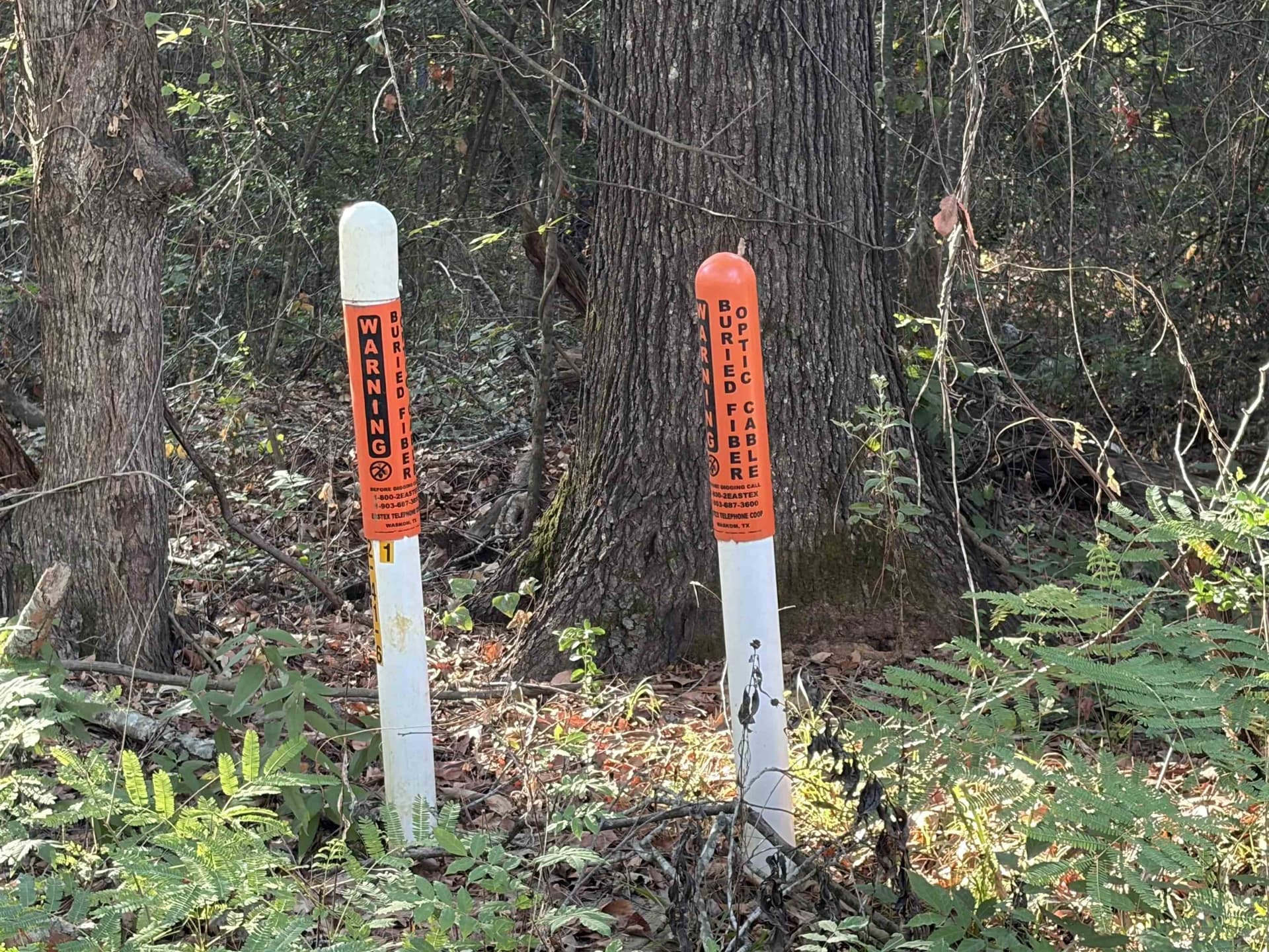 1 acres in Harrison County - photo 7