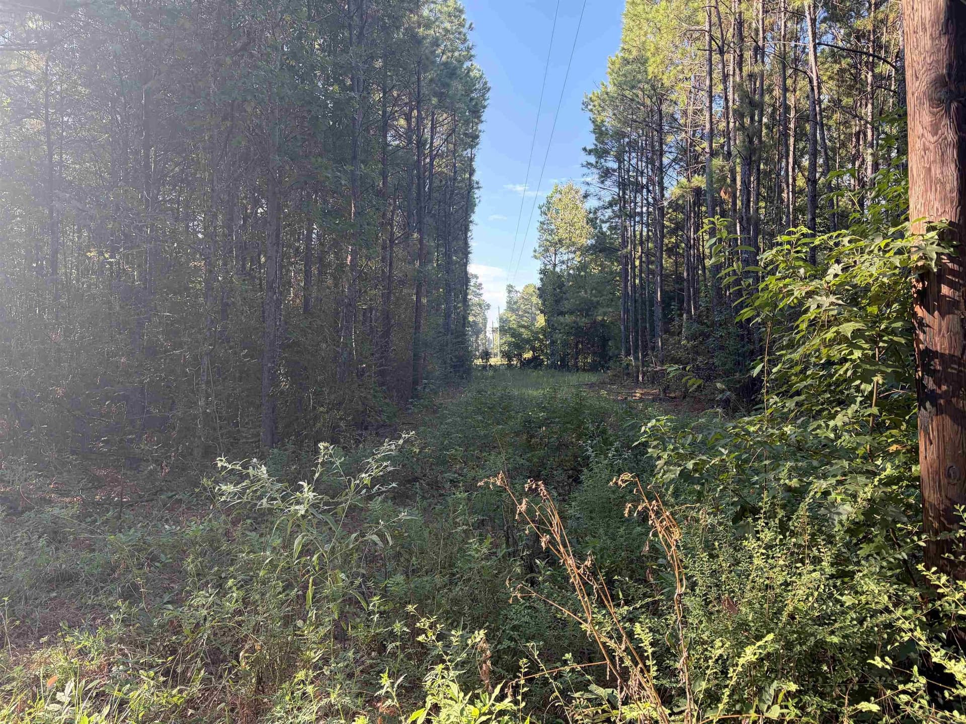 1 acres in Harrison County - photo 10
