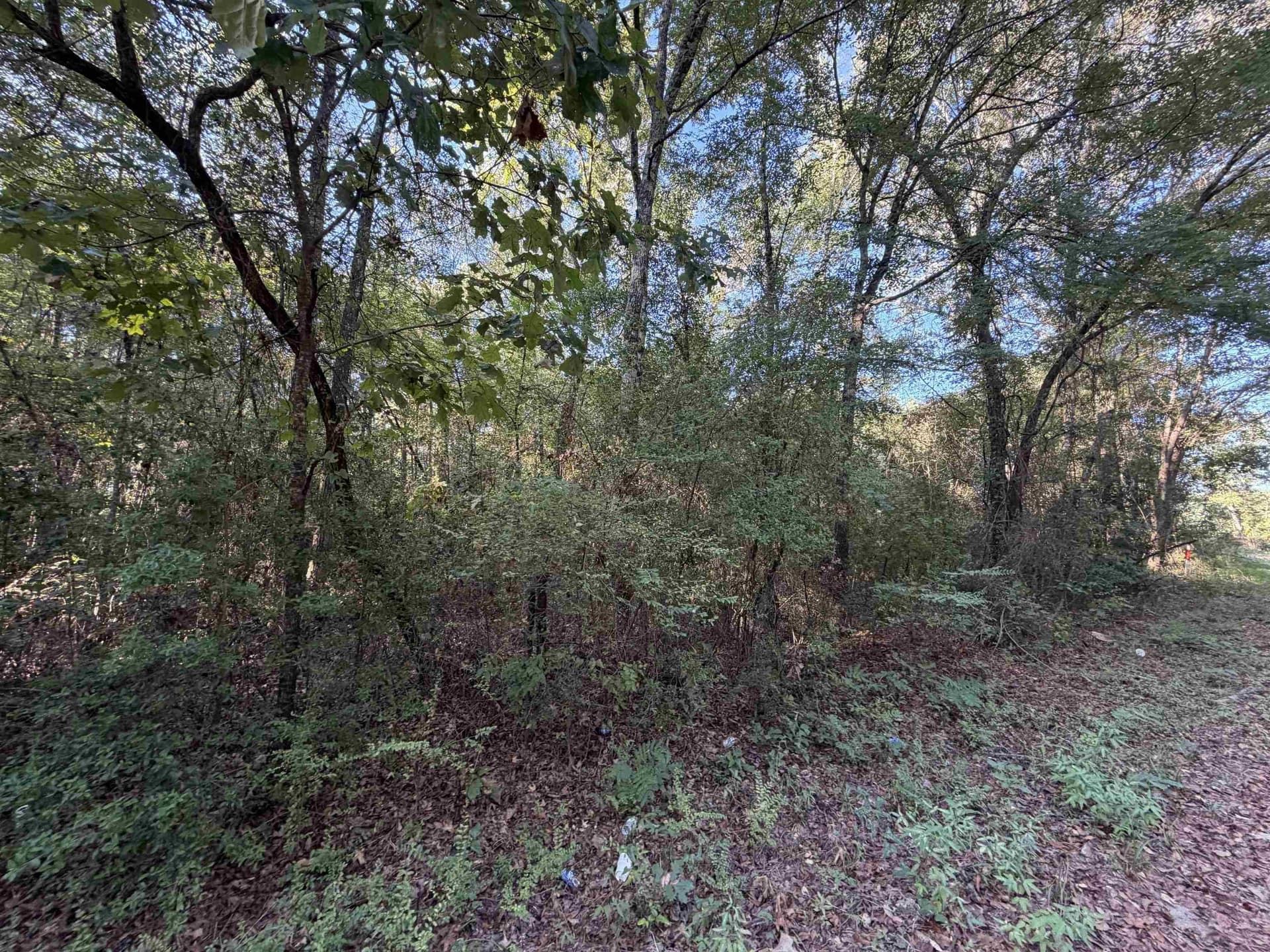 1 acres in Harrison County - photo 8