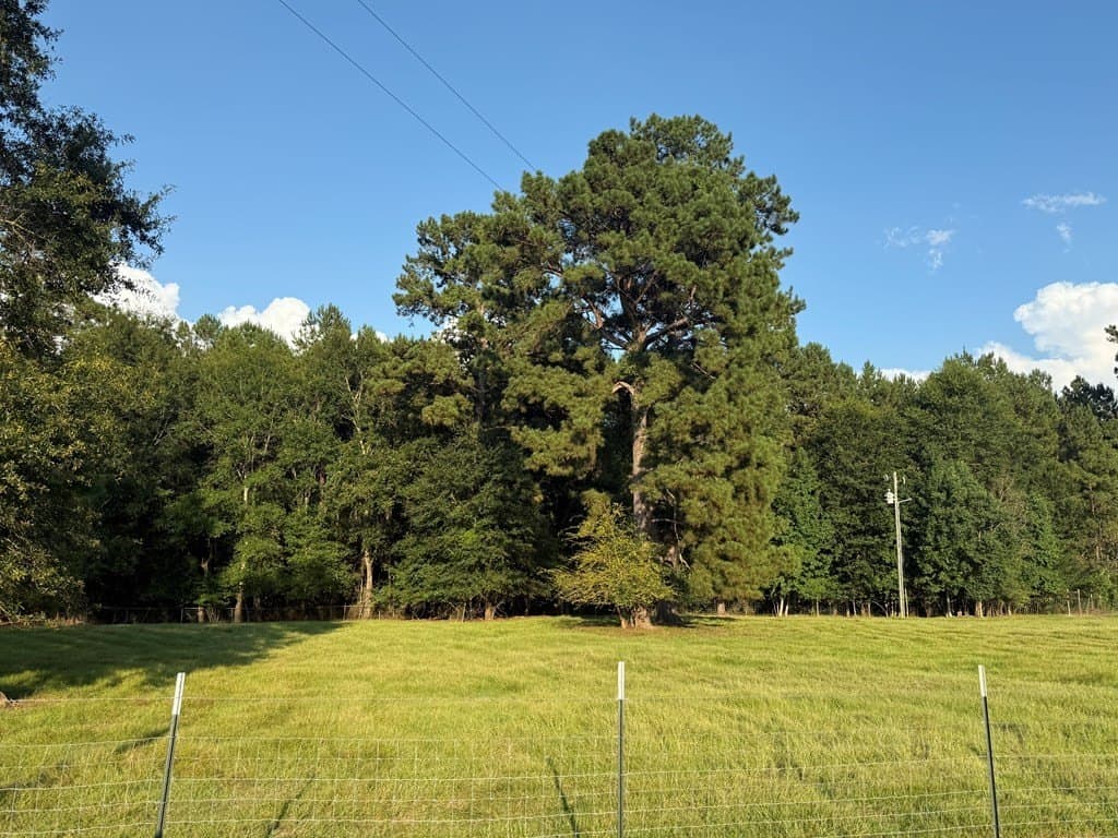 10 acres in Texas County - photo 24