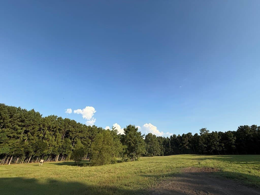 10 acres in Texas County - photo 23