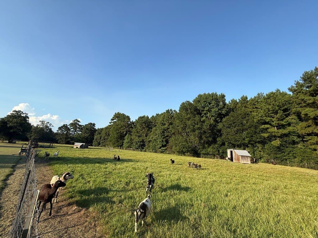 10 acres in Texas County - photo 21