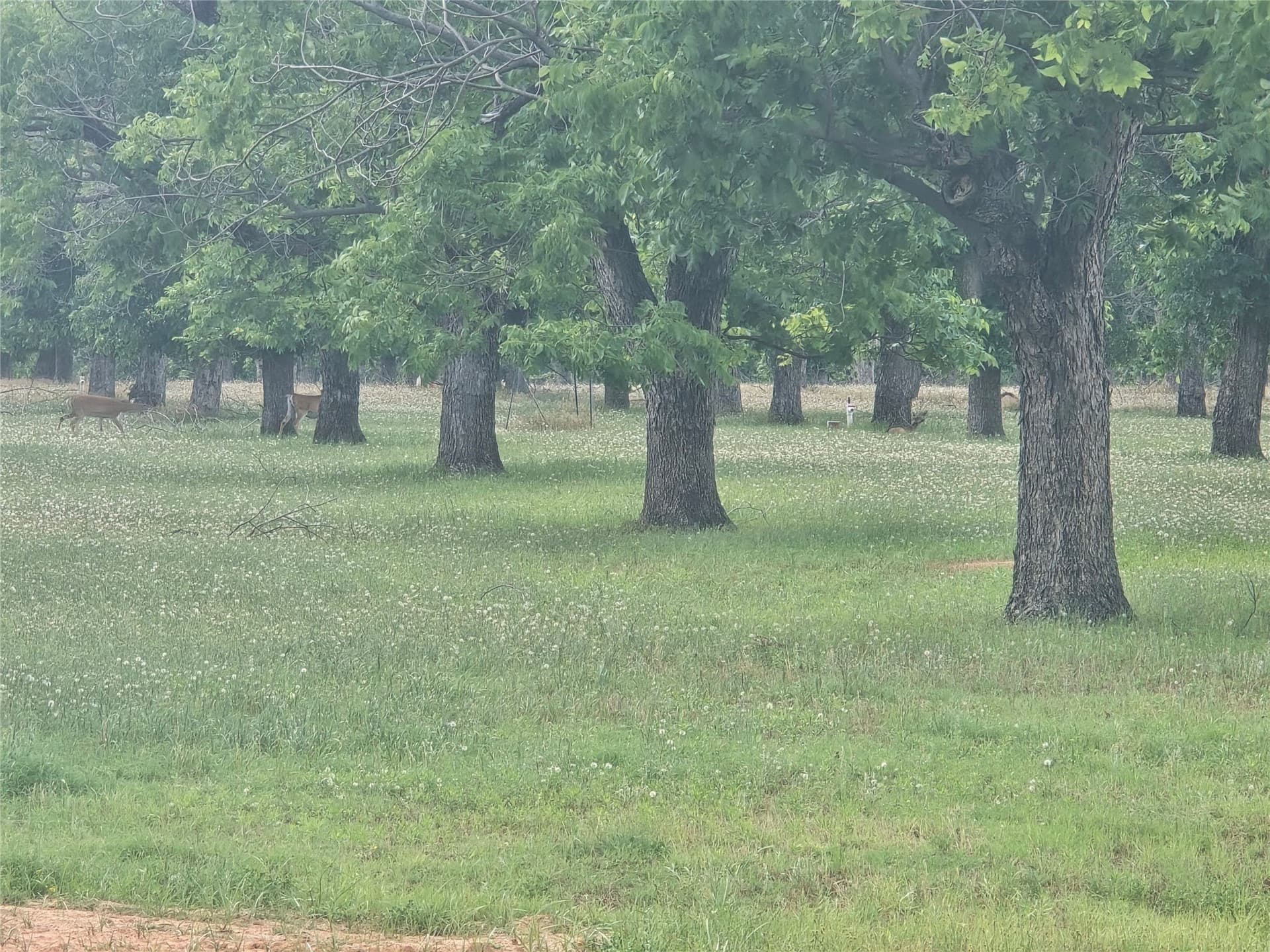 1.11 acres in Hood County - photo 10