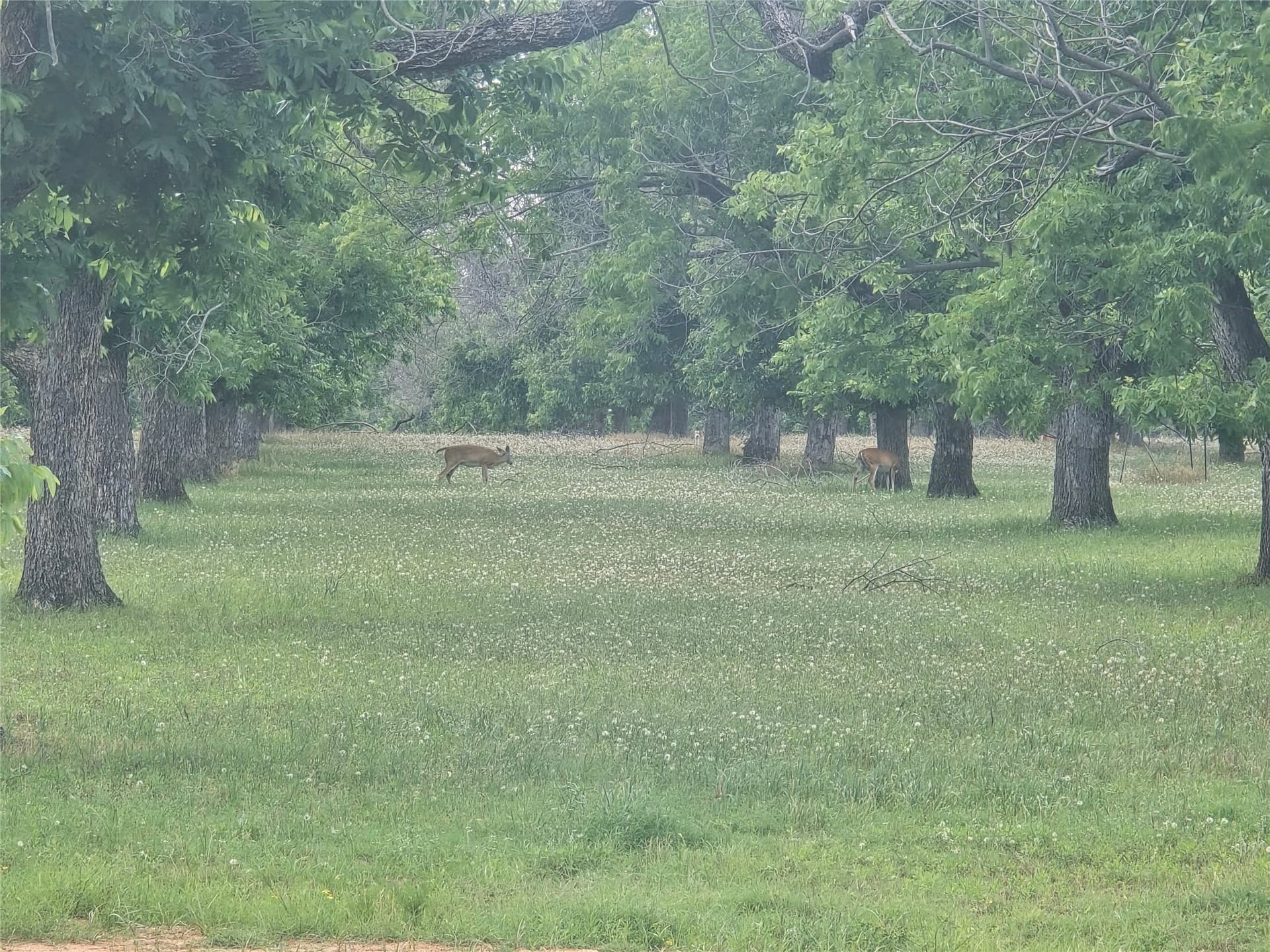 1.11 acres in Hood County - photo 8