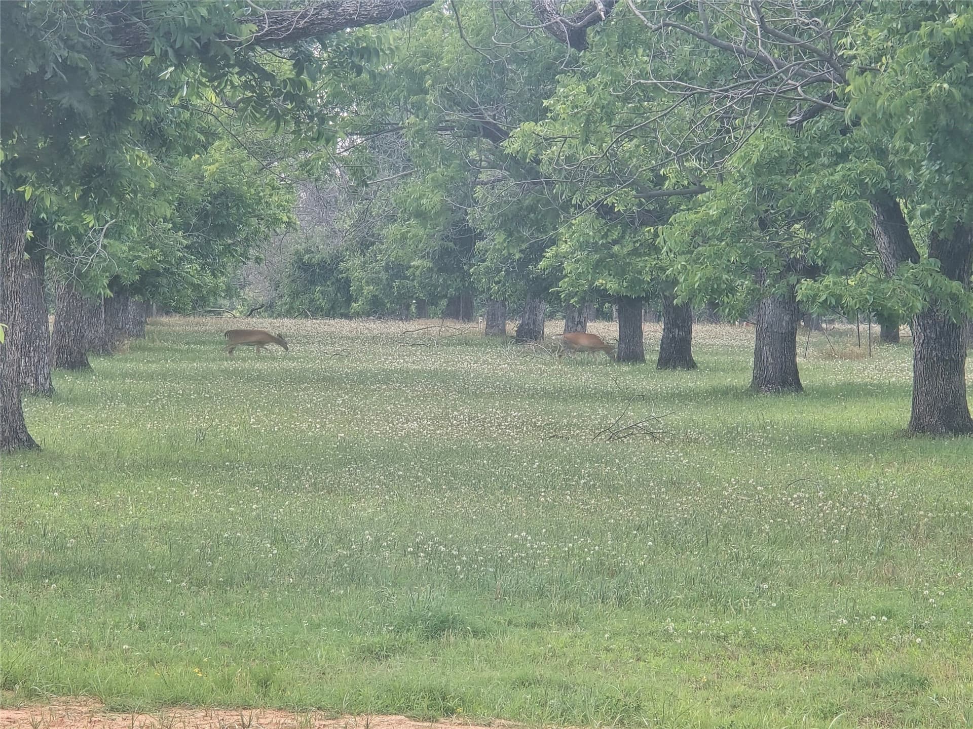 1.11 acres in Hood County - photo 6