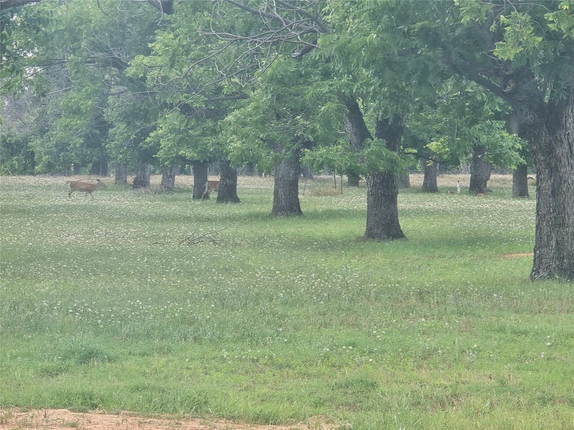 1.11 acres in Hood County - photo 9