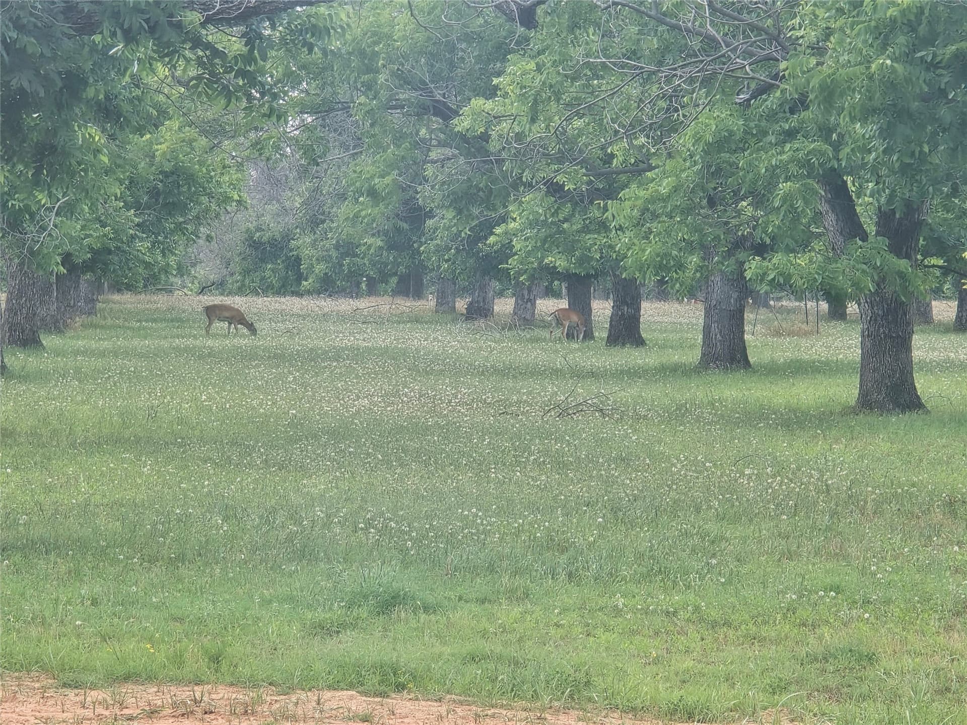 1.11 acres in Hood County - photo 7