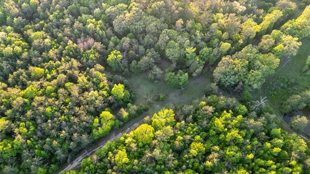 16 acres in Texas County - photo 8