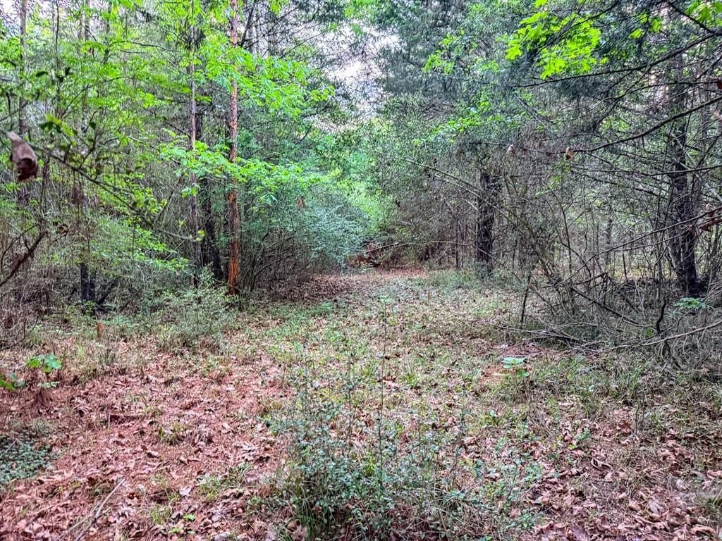 16 acres in Texas County - photo 32