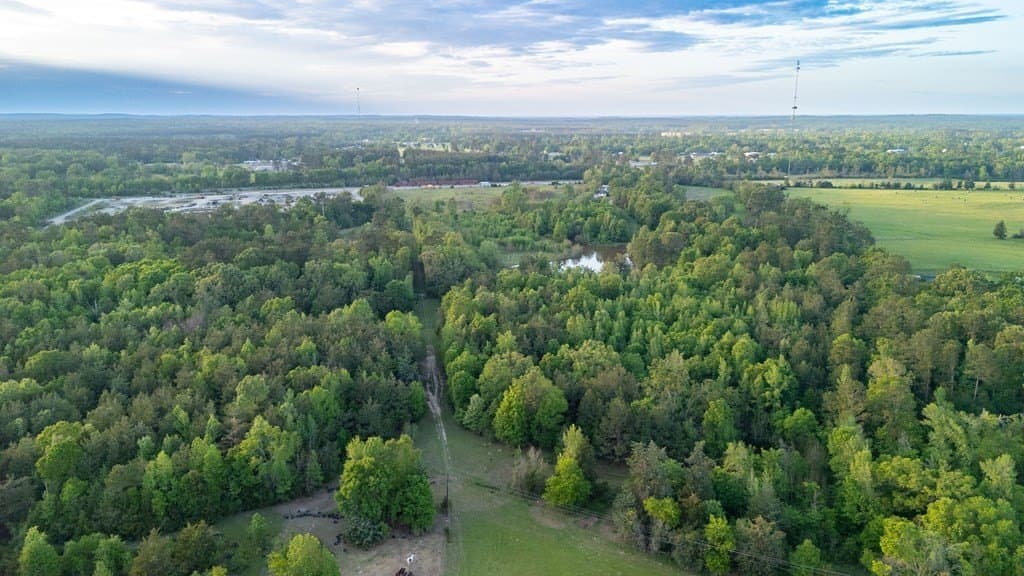 16 acres in Texas County - photo 11