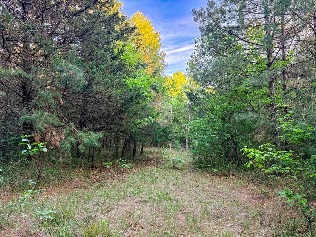 16 acres in Texas County - photo 35