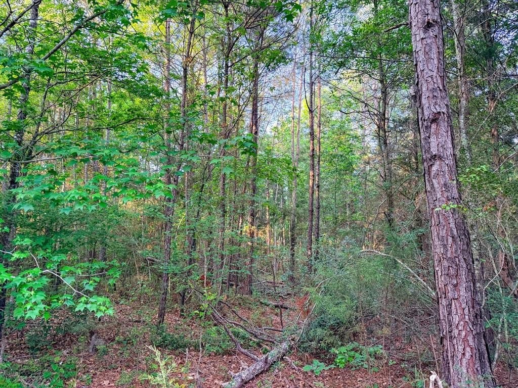 16 acres in Texas County - photo 24