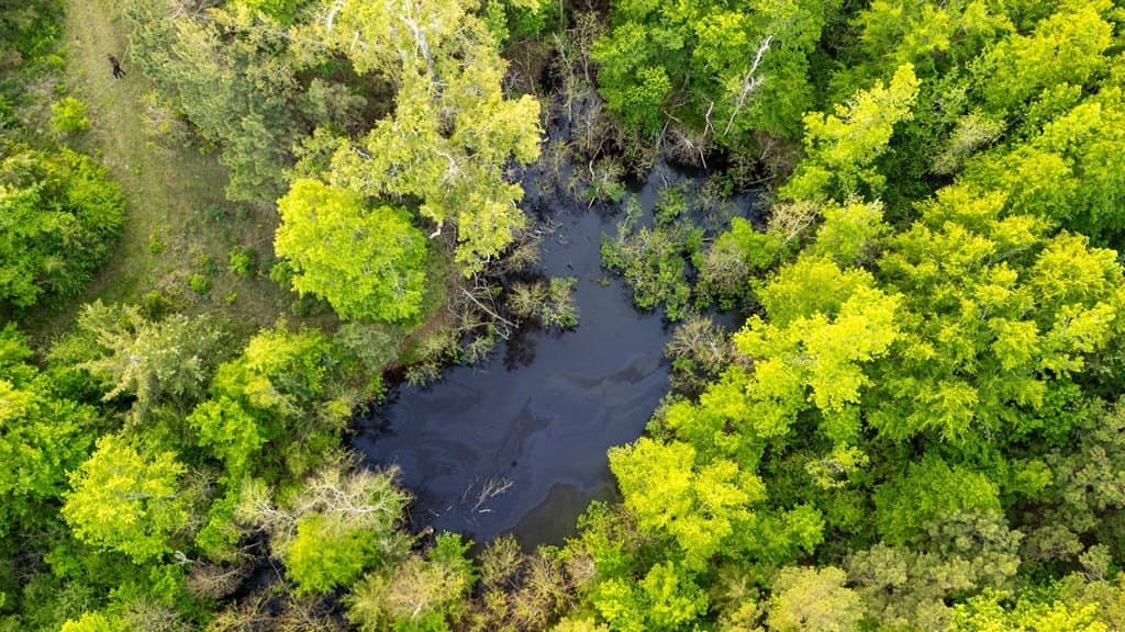 16 acres in Texas County - photo 15