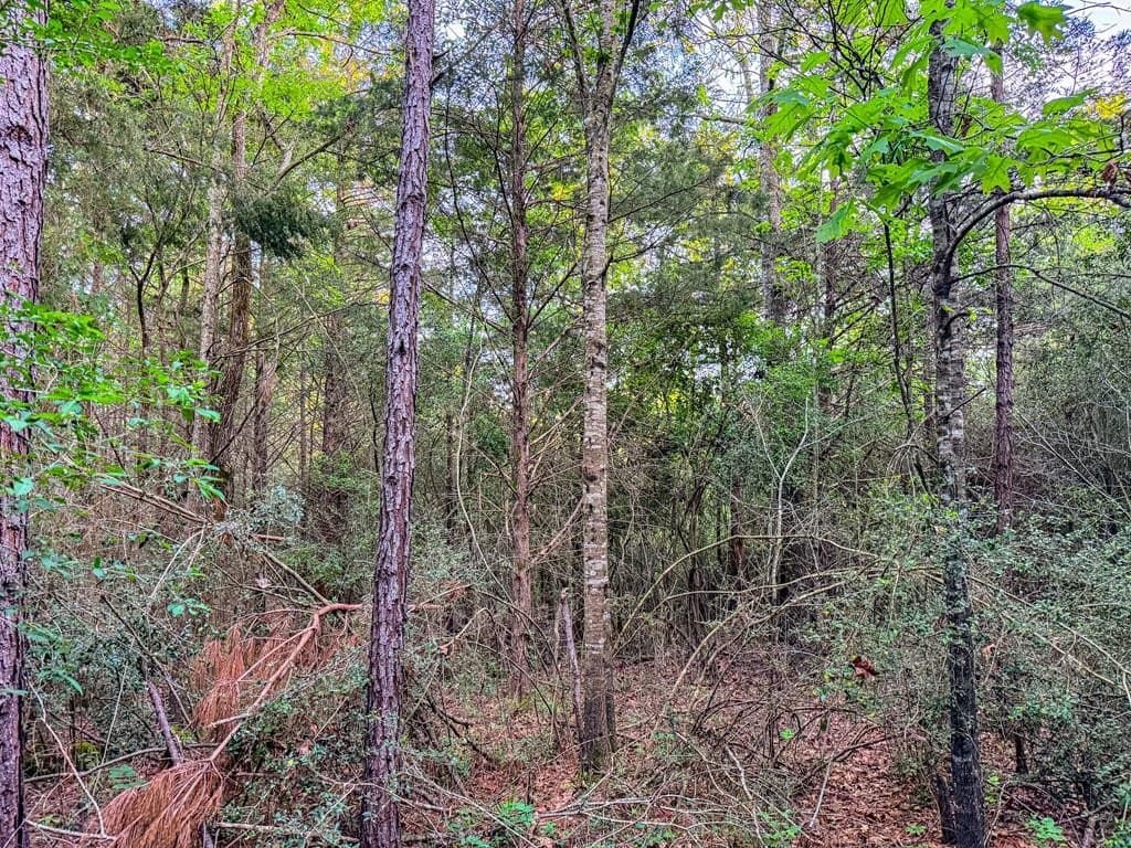 16 acres in Texas County - photo 34