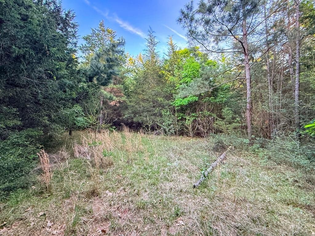 16 acres in Texas County - photo 33
