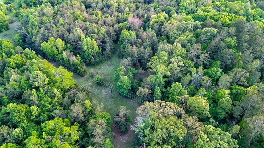 16 acres in Texas County - photo 14