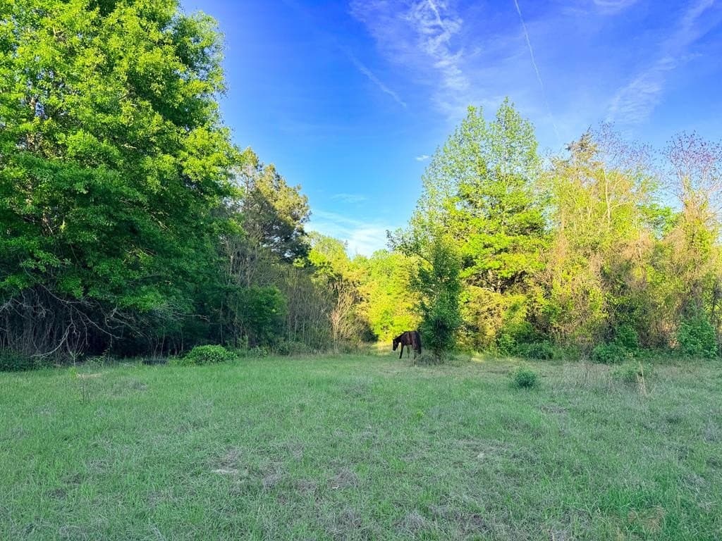 16 acres in Texas County - photo 22