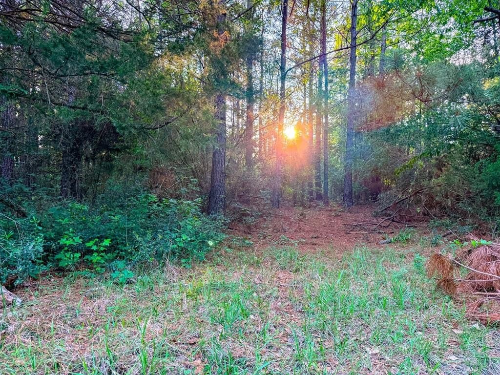 16 acres in Texas County - photo 23