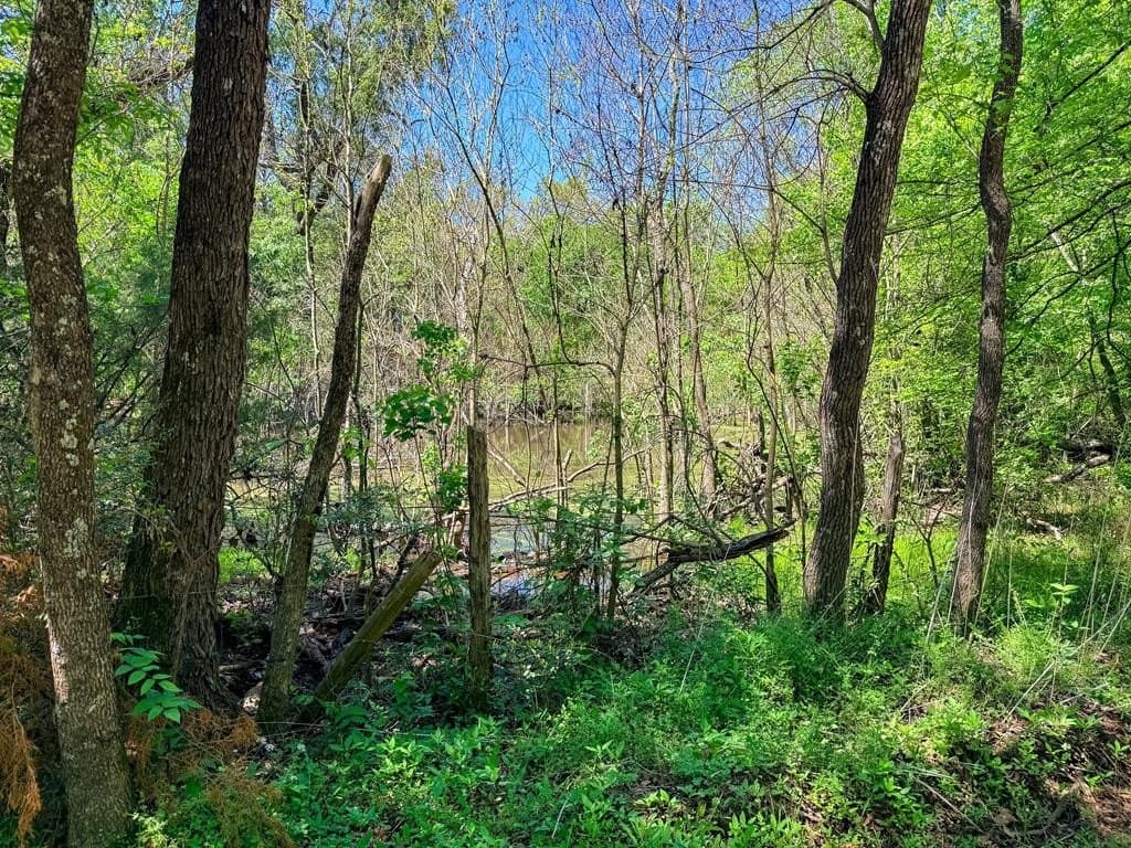16 acres in Texas County - photo 19