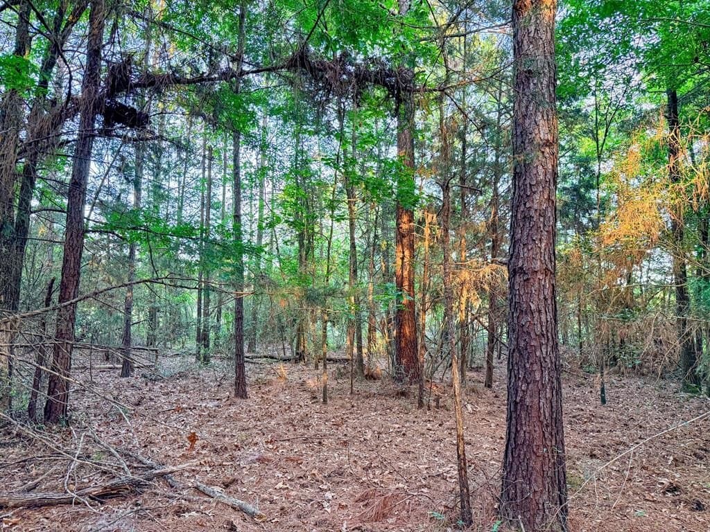 16 acres in Texas County - photo 39