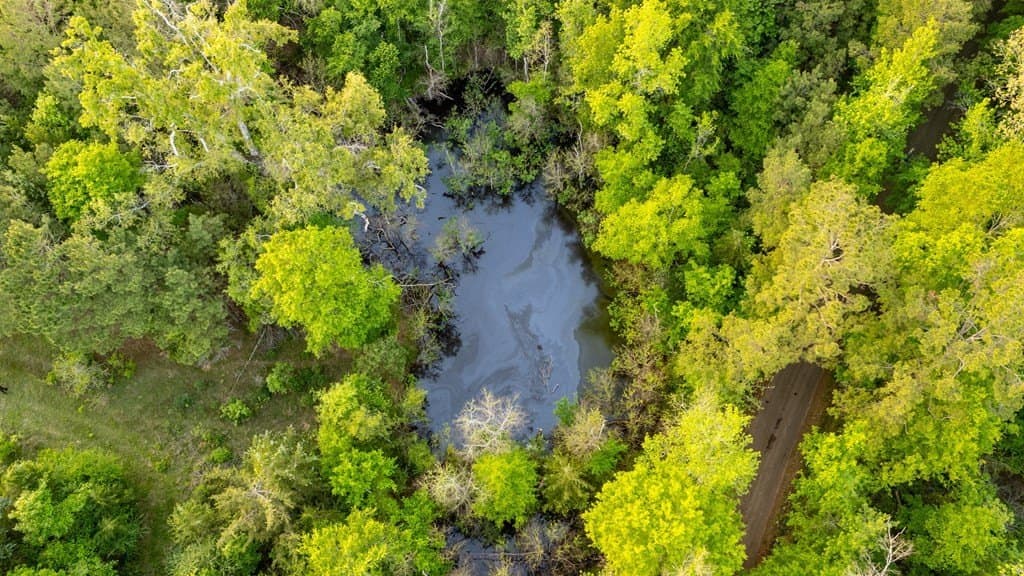 16 acres in Texas County - photo 16