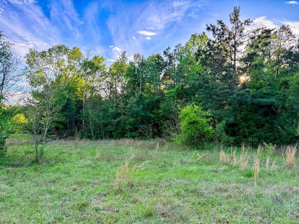 16 acres in Texas County - photo 21