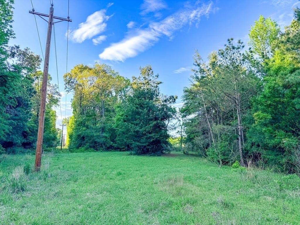 16 acres in Texas County - photo 28