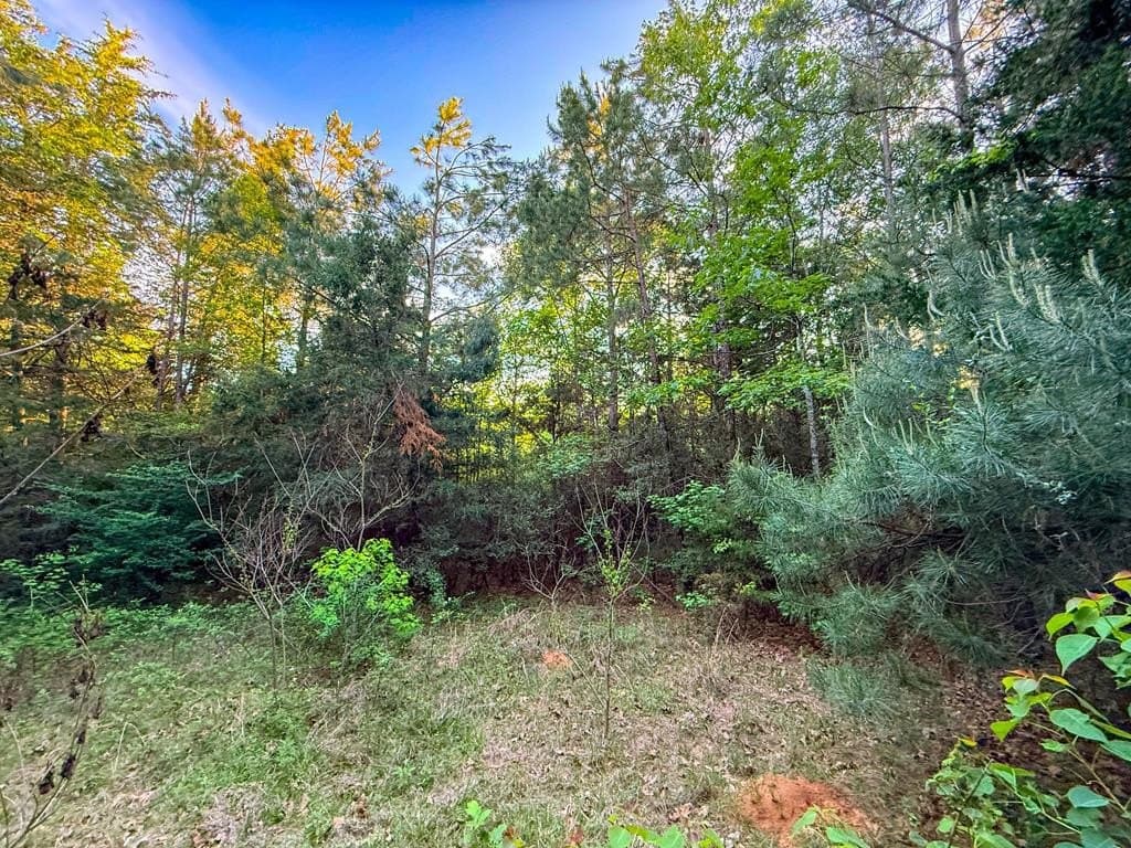 16 acres in Texas County - photo 36