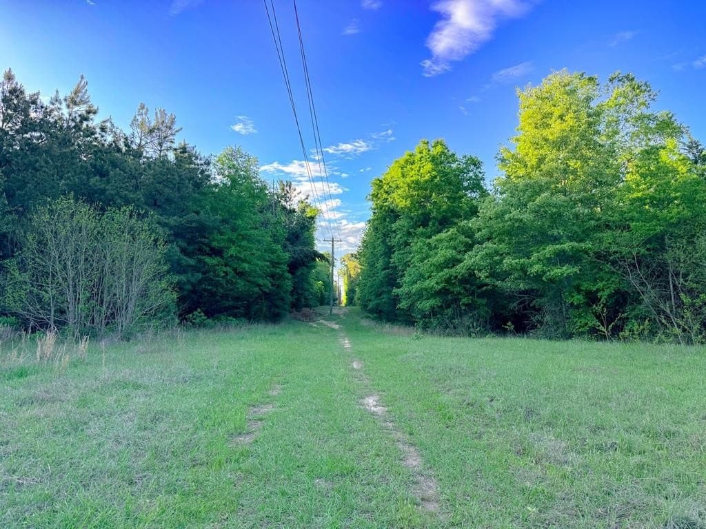 16 acres in Texas County - photo 20