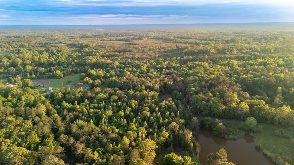 16 acres in Texas County - photo 9