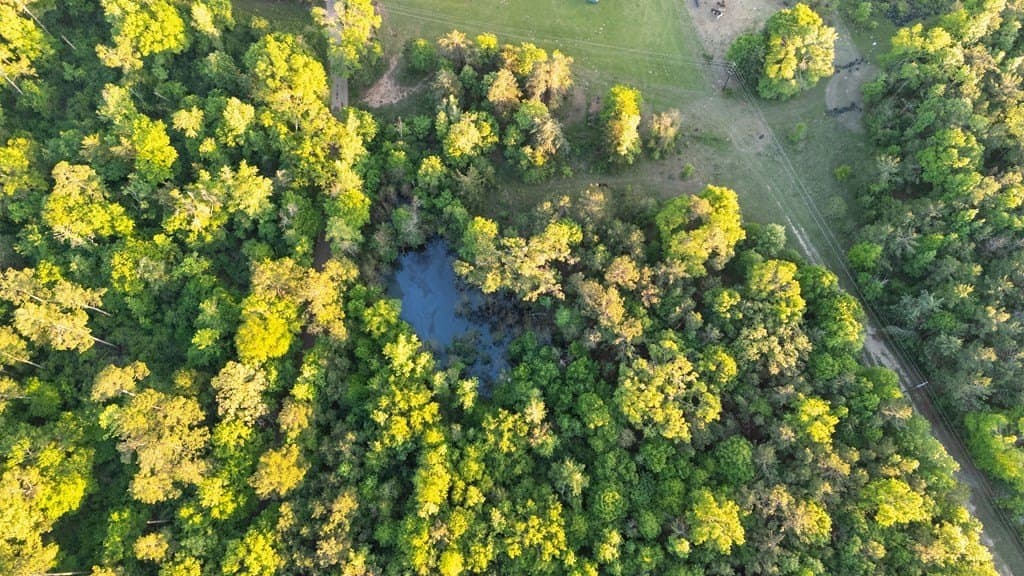 16 acres in Texas County - photo 7