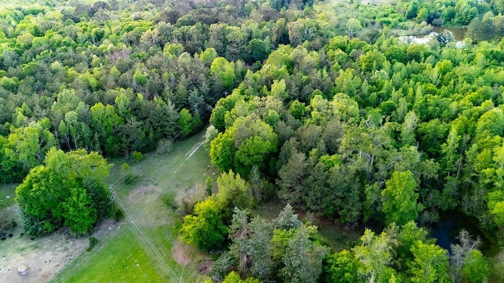 16 acres in Texas County - photo 17
