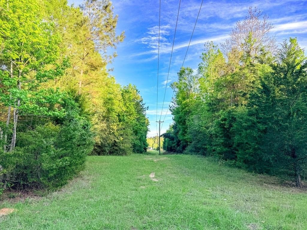 16 acres in Texas County - photo 27