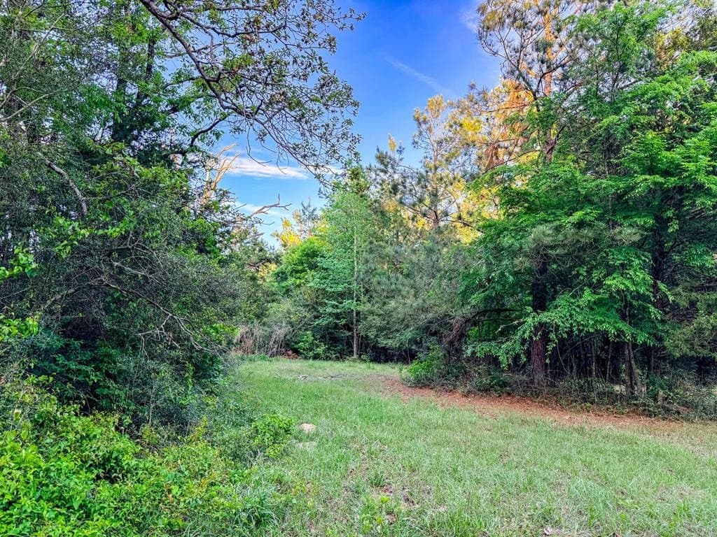 16 acres in Texas County - photo 29