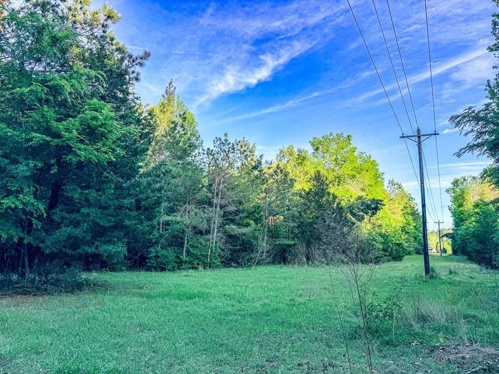 16 acres in Texas County - photo 30