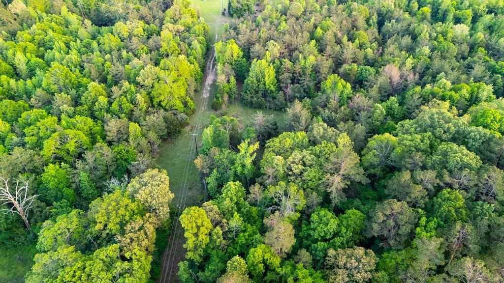 16 acres in Texas County - photo 13