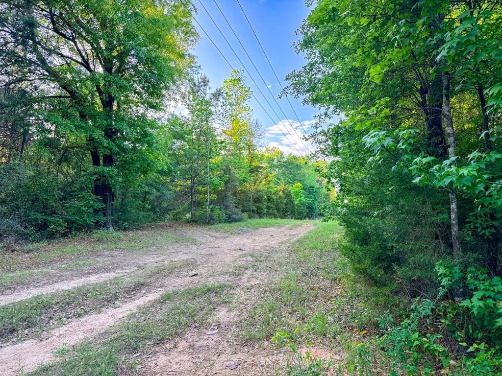 16 acres in Texas County - photo 25