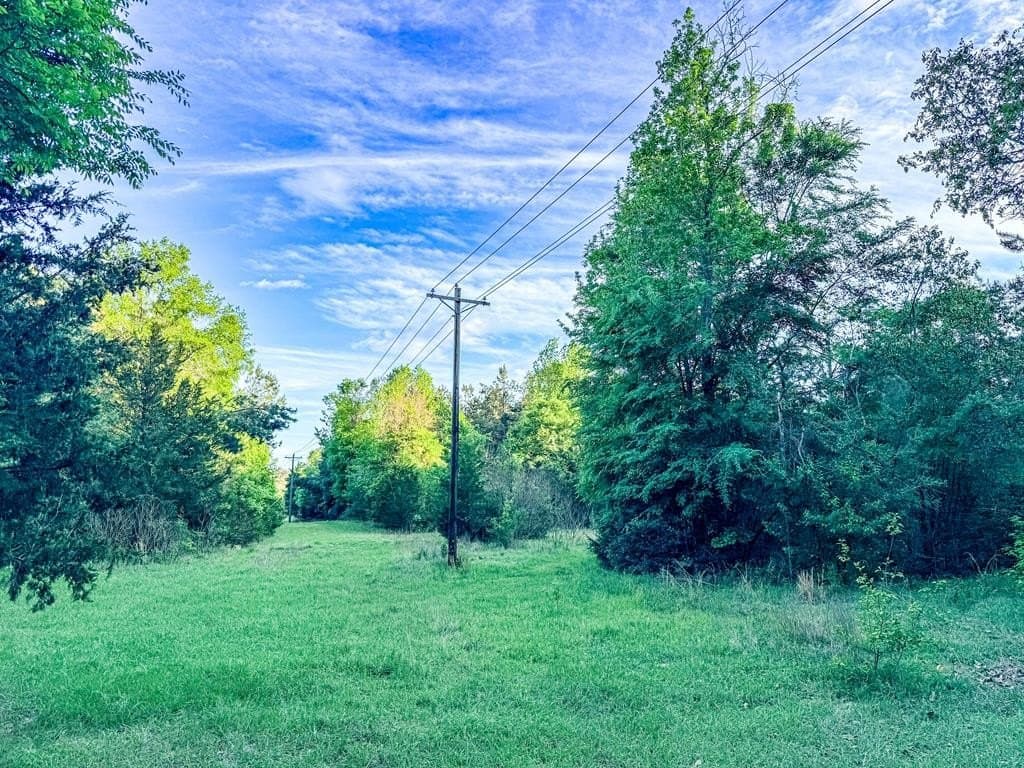 16 acres in Texas County - photo 31