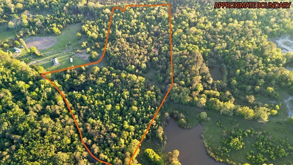 16 acres in Texas County - photo 6