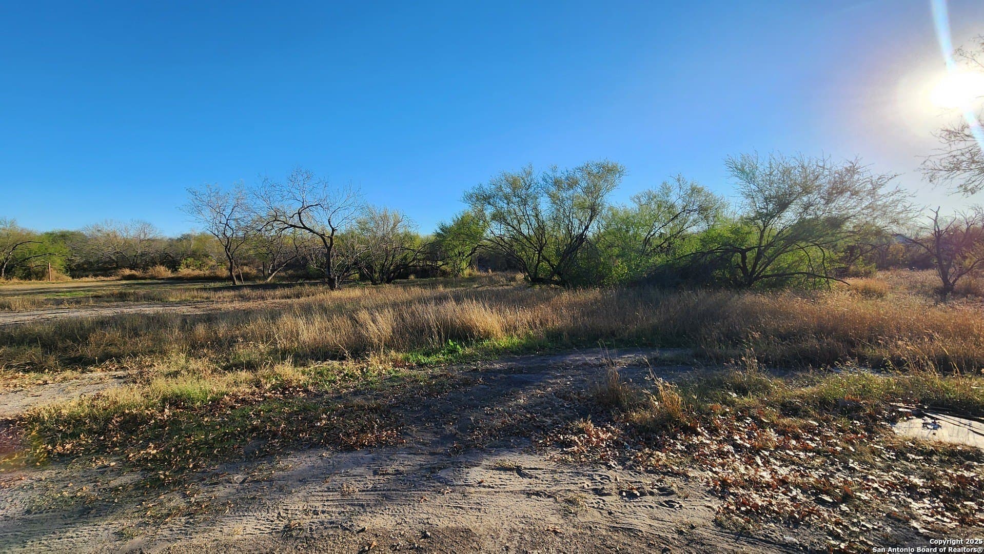 0.15 acres in Bexar County - photo 7