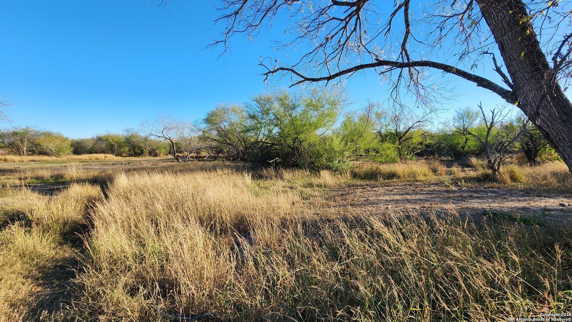 0.15 acres in Bexar County - photo 6