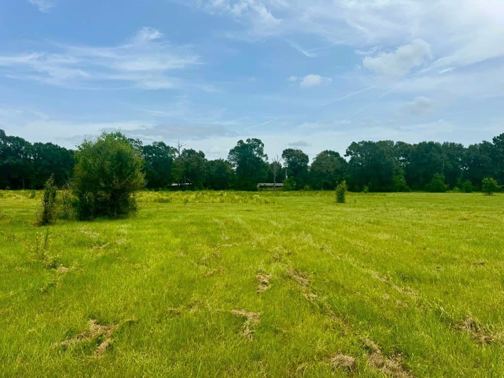 32.25 acres in Texas County - photo 12