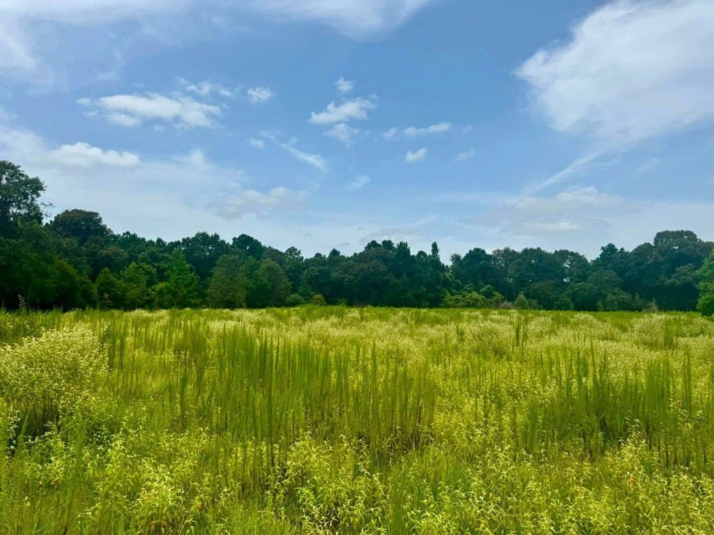 32.25 acres in Texas County - photo 16