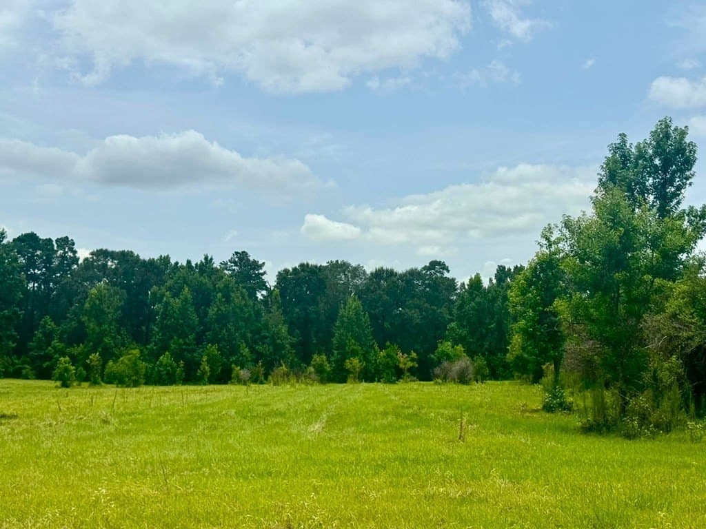 32.25 acres in Texas County - photo 19