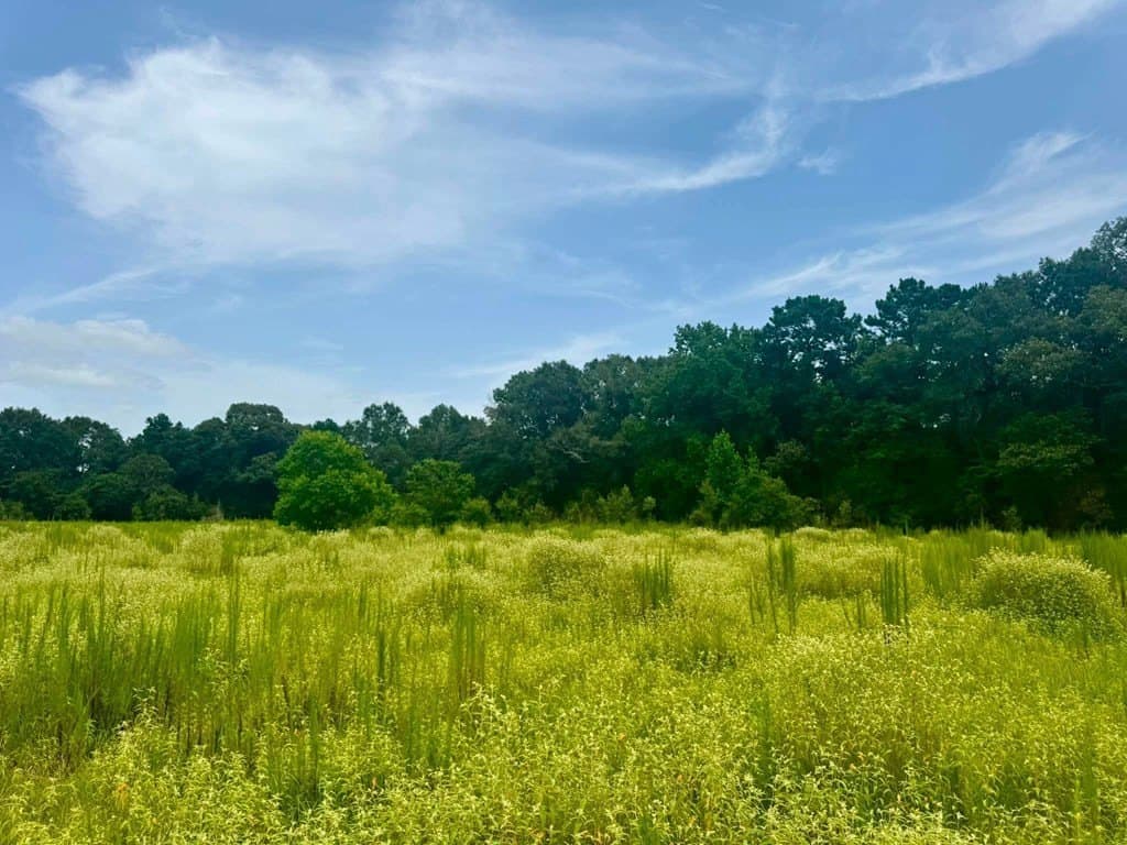 32.25 acres in Texas County - photo 15